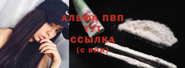 a pvp Алзамай