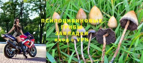 apvp Абдулино