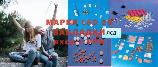 ГАЛЛЮЦИНОГЕННЫЕ ГРИБЫ Алексеевка