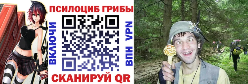 Галлюциногенные грибы мухоморы Красавино